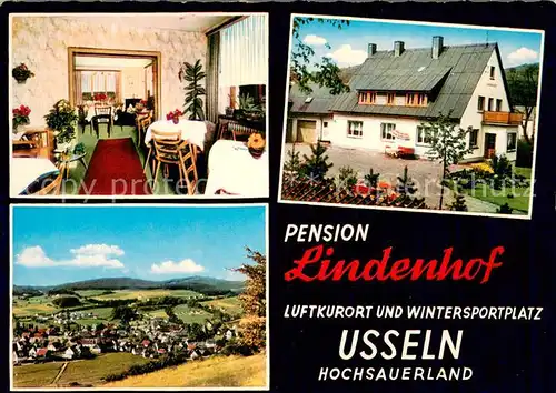 AK / Ansichtskarte Usseln Pension Lindenhof Panorama Luftkurort Wintersportplatz Usseln