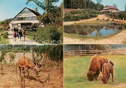 AK / Ansichtskarte Vahrendorf_Siedlung Parkrestaurant Hochwild Schutzpark Schwarze Berge Hirsch Wisent Vahrendorf Siedlung