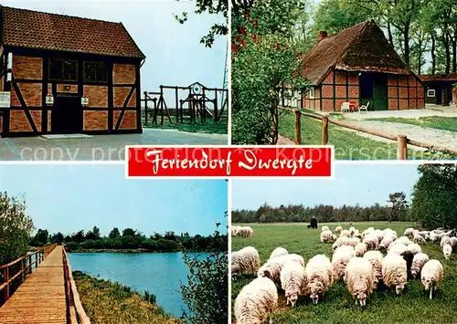 AK / Ansichtskarte Dwergte_Molbergen Feriendorf Dwergte Schafherde Dwergte Molbergen