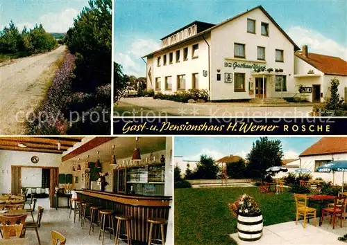 AK / Ansichtskarte Rosche Gasthaus Pensionshaus Werner  Rosche