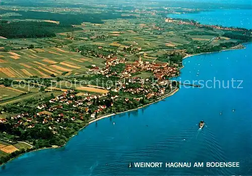 AK / Ansichtskarte Hagnau_Bodensee Fliegeraufnahme Hagnau Bodensee