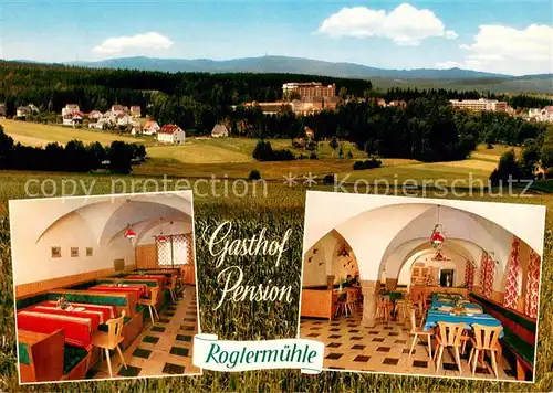 AK / Ansichtskarte Alexandersbad_Bad Gasthof Pension Roglermuehle Gastraeume Panorama Alexandersbad_Bad