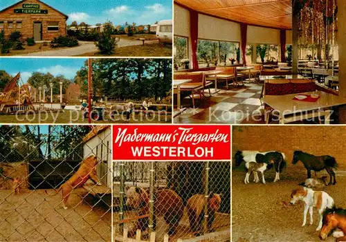 AK / Ansichtskarte Schoening_Paderborn Nadermanns Tiergarten Westerloh Gaststaette Campingplatz Schoening Paderborn