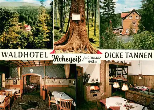 AK / Ansichtskarte Hohegeiss_Harz Waldhotel Dicke Tannen Restaurant Landschaftspanorama Hohegeiss Harz