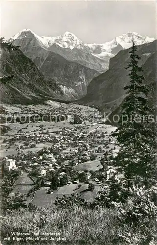 AK / Ansichtskarte Wilderswil mit Eiger Moench und Jungfrau Wilderswil