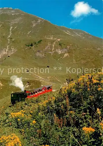 AK / Ansichtskarte Lokomotive Brienz Rot hornbahn 