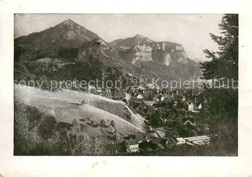 AK / Ansichtskarte Dornbirn_Vorarlberg Panorama Dornbirn Vorarlberg