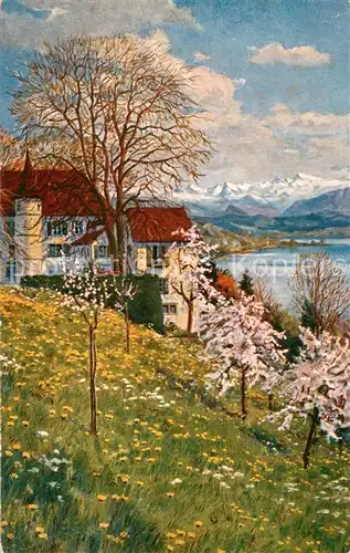 AK / Ansichtskarte Hallwilersee Kurhaus Schloss Brestenberg Hallwilersee