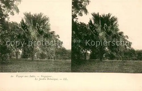 AK / Ansichtskarte Singapur Botanischer Garten Singapur