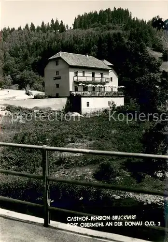 AK / Ansichtskarte Obermuehl_Donau Gasthof Pension Bruckwirt Obermuehl Donau