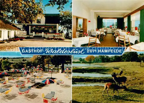 AK / Ansichtskarte Hamfelde_Lauenburg Gasthof Waldeslust Gastraum Terrasse Wild Hamfelde_Lauenburg