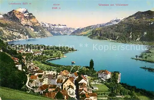 AK / Ansichtskarte Weesen_Walensee Panorama mit und Leistkamm Alvier Feldpost Weesen_Walensee
