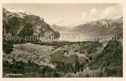 AK / Ansichtskarte Brienzersee_BE Panorama Brienzersee BE