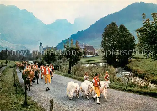 AK / Ansichtskarte Reute_AR Alpabfahrt in der Ostschweiz Reute_AR