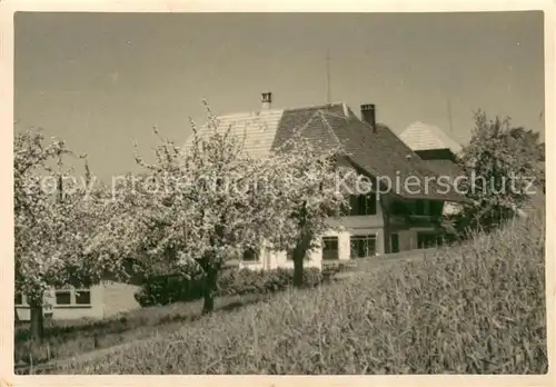 AK / Ansichtskarte Langenthal_BE Pension Wasen Langenthal BE