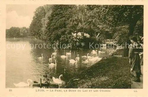 AK / Ansichtskarte Lyon_France Le Parc le Bord du Lac et les Cygnes Lyon France