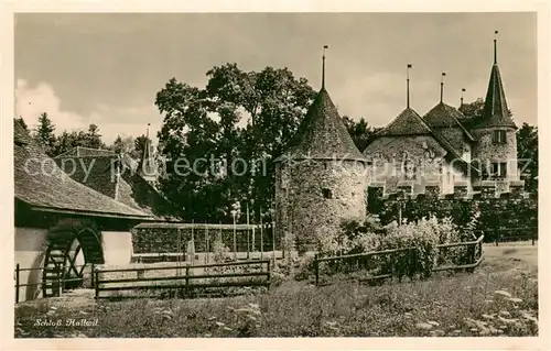 AK / Ansichtskarte Hallwil_Hallwyl_AG Schloss Hallwil 