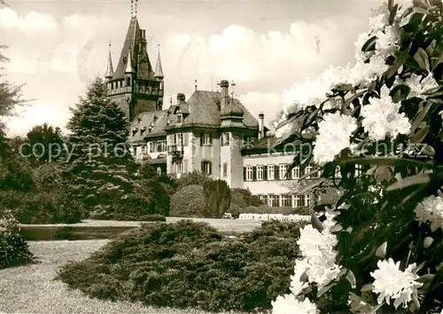 AK / Ansichtskarte Weinheim_Bergstrasse Bluetenzauber im Schlosspark Weinheim_Bergstrasse