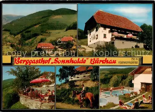 AK / Ansichtskarte Buerchau Berggasthof Sonnhalde Reiten Swimming Pool Kleines Wiesental Schwarzwald Buerchau