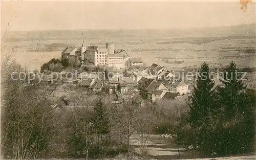 AK / Ansichtskarte Regensberg_Dielsdorf_ZH Panorama 