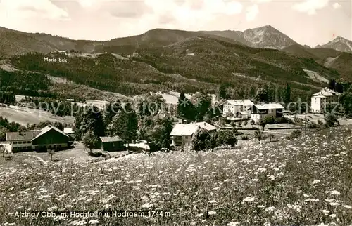 AK / Ansichtskarte Alzing_Traunstein Panorama Blumenwiese Hochfelln Hochgern Chiemgauer Alpen Alzing_Traunstein