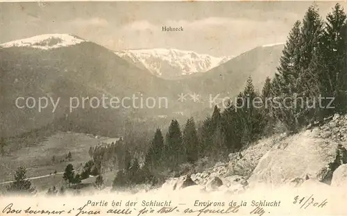 AK / Ansichtskarte Hohneck_Le_88_Vosges Panorama 