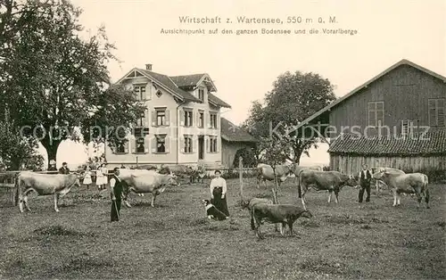 AK / Ansichtskarte Wartensee_Rorschach_SG Wirtschaft zum Wartensee Rinderweide 