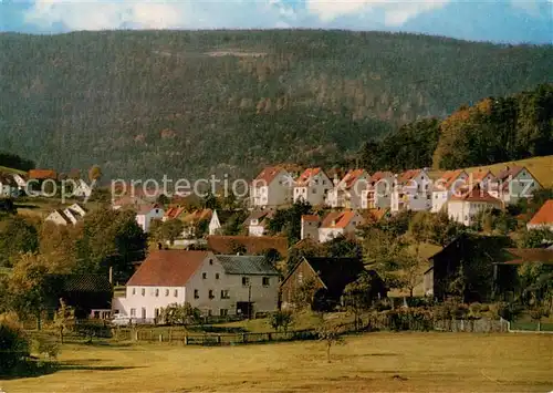 AK / Ansichtskarte Friedenfels Teilansicht Luftkurort Friedenfels