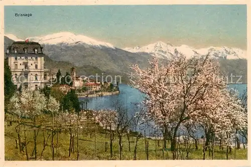 AK / Ansichtskarte Brissago_Lago_Maggiore Panorama Brissago_Lago_Maggiore