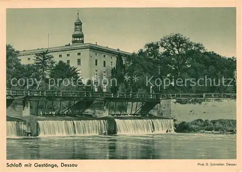 AK / Ansichtskarte Dessau Rosslau Schloss mit Gestaenge Dessau Rosslau