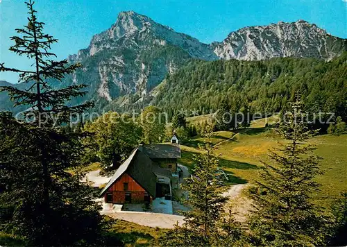 AK / Ansichtskarte Piding Steineralm mit Hochstaufen und Mittelstaufen Piding