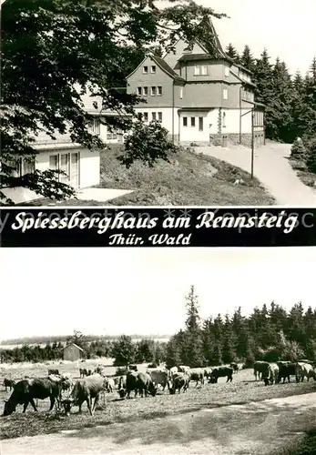 AK / Ansichtskarte Rennsteig Spiessberghaus am Rennstein u. Kuhherde Rennsteig