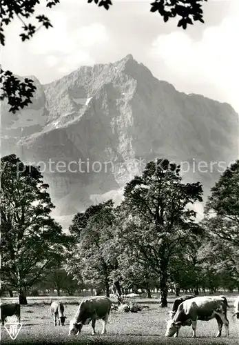 AK / Ansichtskarte Karwendel Grosser Ahornboden in d. Eng m. Spritzkarspitze Karwendel