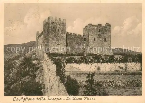 AK / Ansichtskarte Castiglione_della_Pescaia La Rocca Pisana Castiglione_della_Pescaia