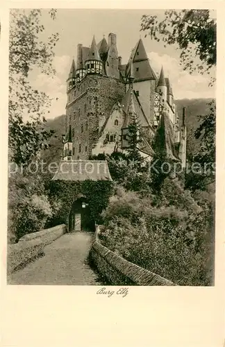 AK / Ansichtskarte Wierschem Burg Eltz Wierschem