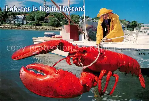 AK / Ansichtskarte Boston_Massachusetts Lobster Fishing 