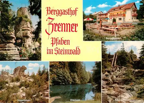 AK / Ansichtskarte Pfaben_Steinwald Berggasthof Zrenner Weissenstein Vogelfelsen Waldsee Saubadfelsen 