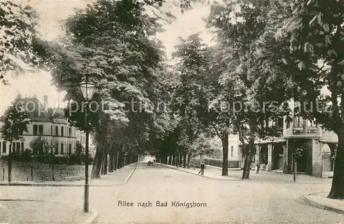 AK / Ansichtskarte Bad_Koenigsborn_Unna Allee 