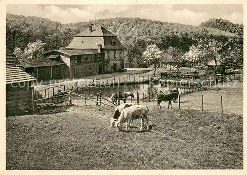 AK / Ansichtskarte Rhoen_Region Fohlenweide mit Schloss Bieberstein Rhoen Region