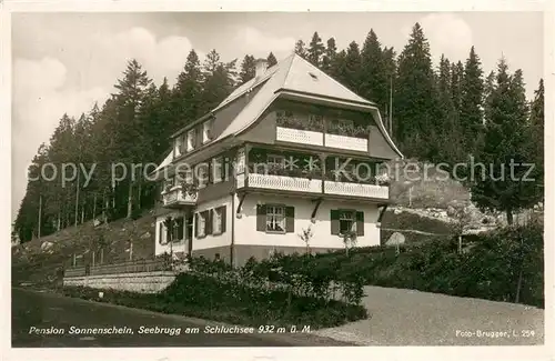 AK / Ansichtskarte Seebrugg Pension Sonnenschein Seebrugg