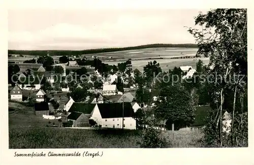 AK / Ansichtskarte Caemmerswalde Panorama Caemmerswalde