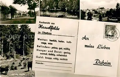 AK / Ansichtskarte Hasselfelde Waldfreibad Teilansichten Auf der Weide Hasselfelde