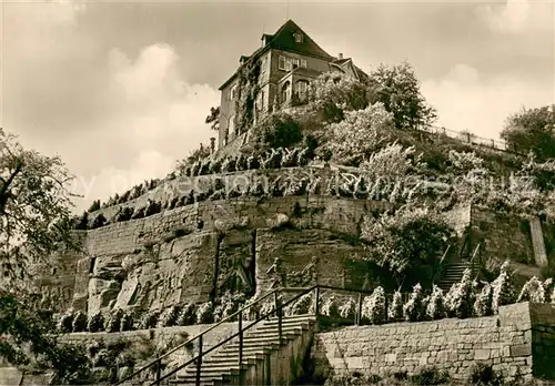 Grossjena Alte Weinberge an der Unstrut Reliefs von 1720 Grossjena