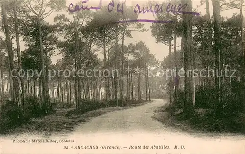 AK / Ansichtskarte Arcachon_33 Route des Abatilles Foret 