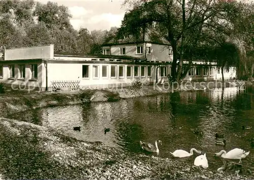 AK / Ansichtskarte Heiligenstadt_Eichsfeld Kneippbad Schwanenweiher Heiligenstadt_Eichsfeld