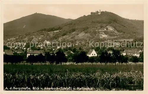 AK / Ansichtskarte Auerbach_Bergstrasse Schloss und Melibokus Auerbach_Bergstrasse