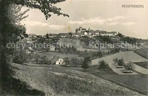 AK / Ansichtskarte Regensberg_Dielsdorf_ZH Panorama Schloss 