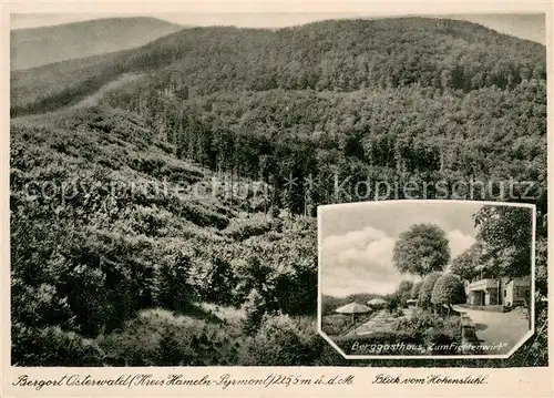 AK / Ansichtskarte Osterwald_Elze Berggasthaus Zum Fichtenwirt Hohenstuhl Osterwald_Elze