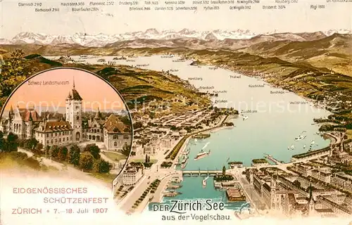 AK / Ansichtskarte Zuerichsee_ZH Panoramakarte Schweizerisches Landesmuseum Zuerichsee ZH