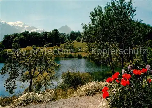 AK / Ansichtskarte Ringgenberg_Brienzersee Burgseeli Schwalmern Abendberg Ringgenberg Brienzersee